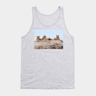 African Lions, Serengeti, Tanzania Tank Top